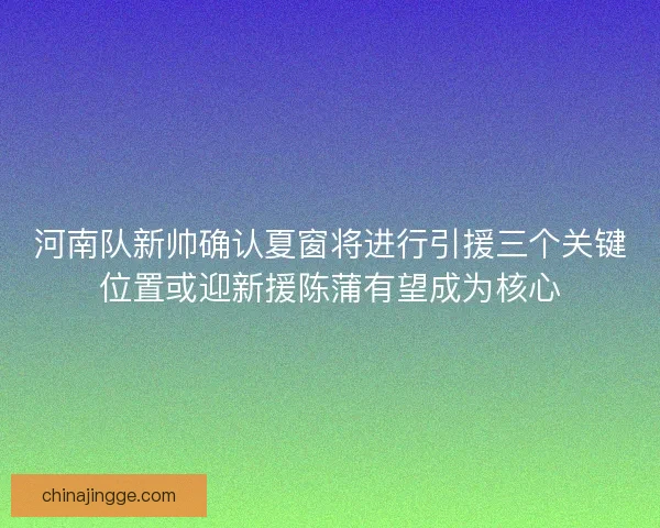 河南队新帅确认夏窗将进行引援三个关键位置或迎新援陈蒲有望成为核心