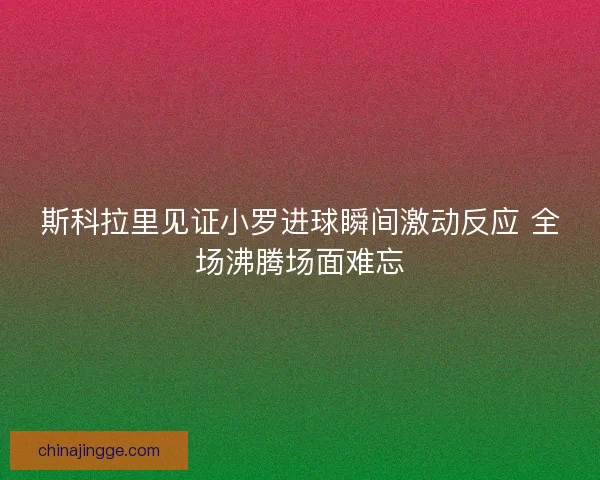 斯科拉里见证小罗进球瞬间激动反应 全场沸腾场面难忘 斯科拉里见证小罗进球瞬间激动反应 全场沸腾场面难忘